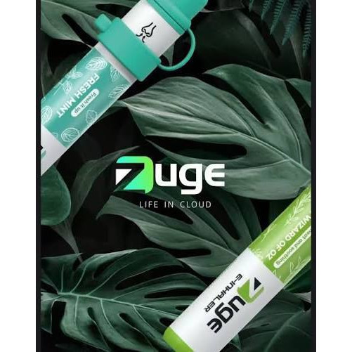 <p>ZUGE 鼻通器<br />
拋棄式/一次性</p>